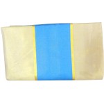Kerala Tissue Saree Blue Border