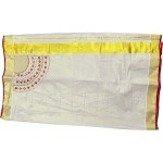 Mirror & Beats Tissue Kasavu Saree